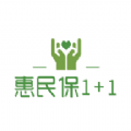 惠民保1+1