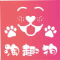 淘趣狗app