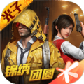 和平精英北极熊直装.apk