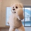 跳舞小熊表情包动态图片