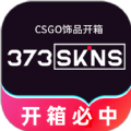 373Skins开箱网