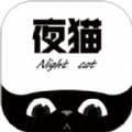 夜猫追剧达人