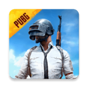 pubg国体直装