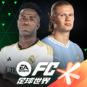 FIFA足球世界下载