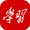 学习强国双人对战app