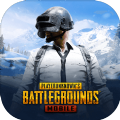 地铁逃生体验服(PUBG MOBILE)