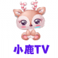 小鹿TV