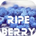 RipeBerry