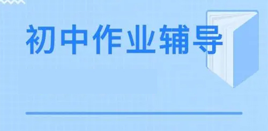 初中作业辅导软件有哪些