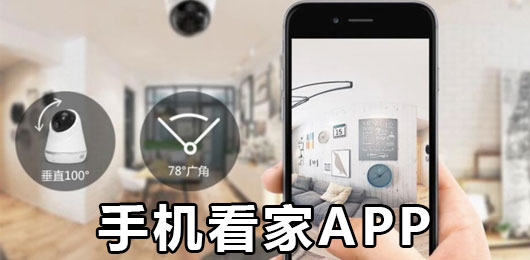 手机看家app下载