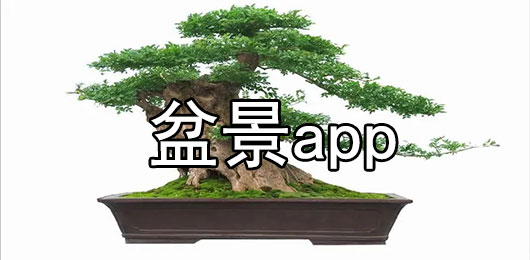 盆景app有哪些