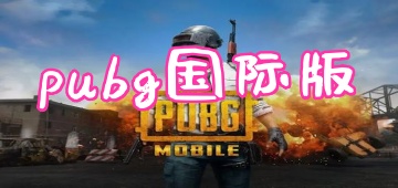 pubg国际版