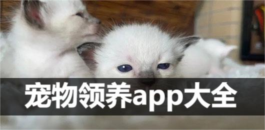 宠物领养平台app下载