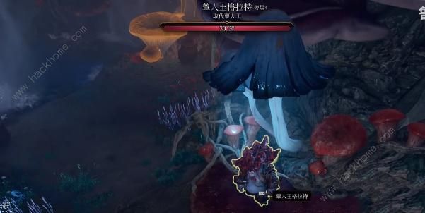 博德之门3魔索布莱城之影怎么得 魔索布莱城之影获取攻略[多图]图片6