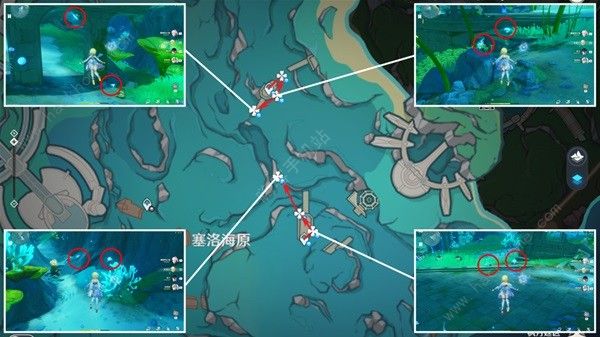 原神苍晶螺分布大全 苍晶螺收集路线图分享[多图]图片2