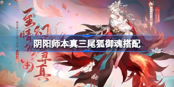 阴阳师本真三尾狐御魂搭配