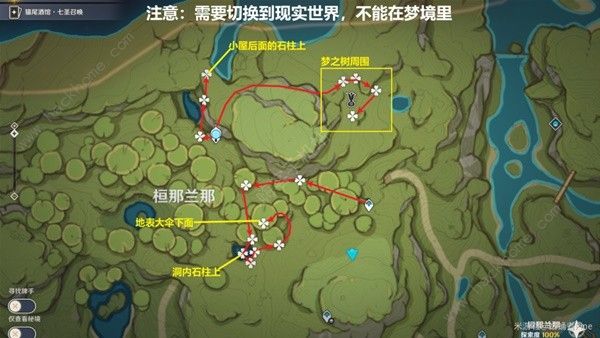 原神帕蒂沙兰新版采集位置大全 帕蒂沙兰最新采集路线一览[多图]图片6