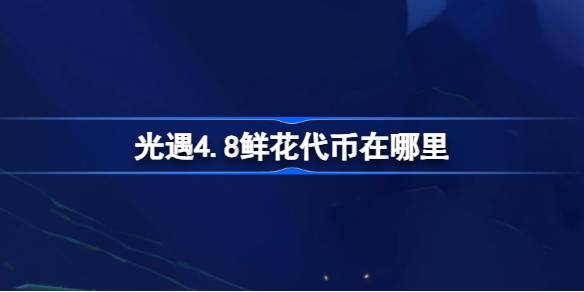 光遇4.8鲜花代币在哪里