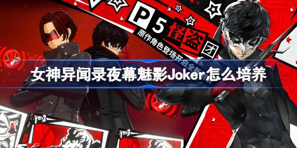 女神异闻录夜幕魅影Joker怎么培养