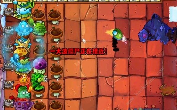 植物大战僵尸杂交版2.1怎么刷金币钻石